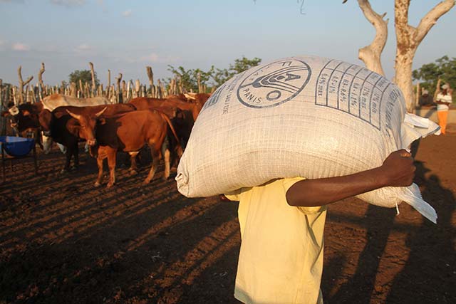 Southern Africa: urgent measures needed to address El Niño impact