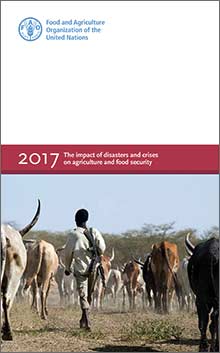 The impact of disasters and crises on agriculture and food security 2017