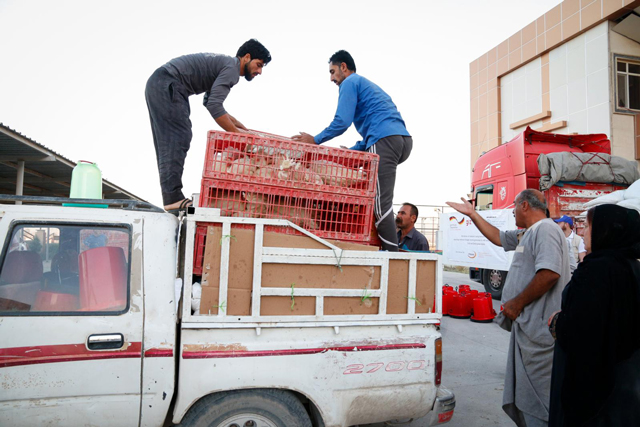 Restoring and providing alternative livelihoods in Iraq