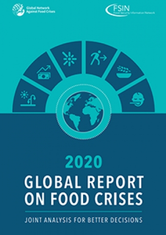 Global Report on Food Crises 2020