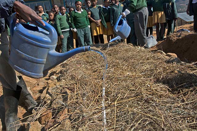 FAO supports Conservation Agriculture education in Lesotho
