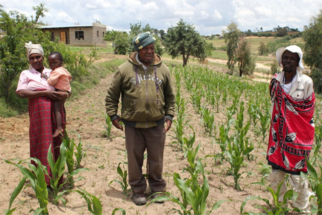 Spillover effects of FAO Lesotho Emergency and Resilience Programme