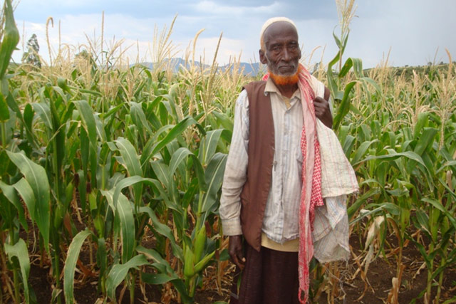 Disaster risk management – smallholder farmer seed and planting materials response project