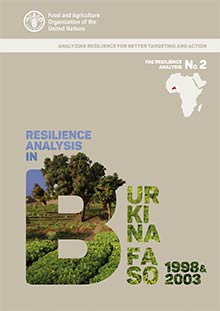 Resilience analysis in Burkina Faso 1998-2003