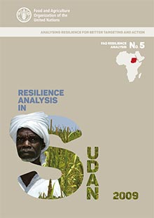 Resilience Analysis in Sudan 2009