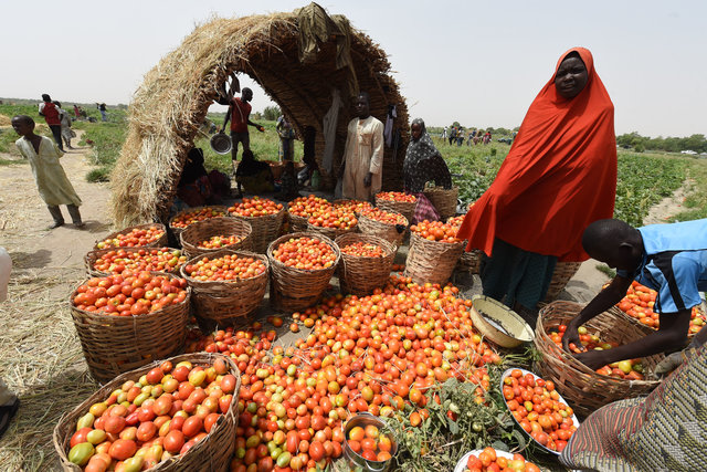 L’insécurité alimentaire représente un plus grand défi en période de conflit civil et de sécheresse