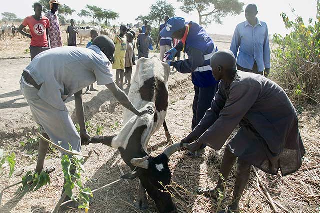 Casi dos tercios de la población en Sudán del Sur amenazados por el aumento del hambre