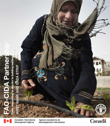FAO-CIDA partnership - From responding to shocks to building resilience in the West Bank and Gaza Strip