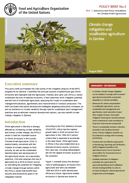 Climate change mitigation and smallholder agriculture in Zambia ...