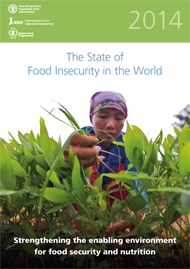 The State of Food Insecurity in the World 2014 | Agrifood Economics ...