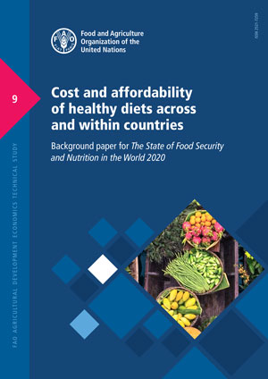 Cost and affordability of healthy diets across and within countries |  Agrifood Economics | Food and Agriculture Organization of the United Nations