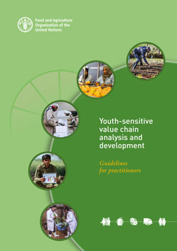 Youth-sensitive value chain analysis and development | Agrifood ...
