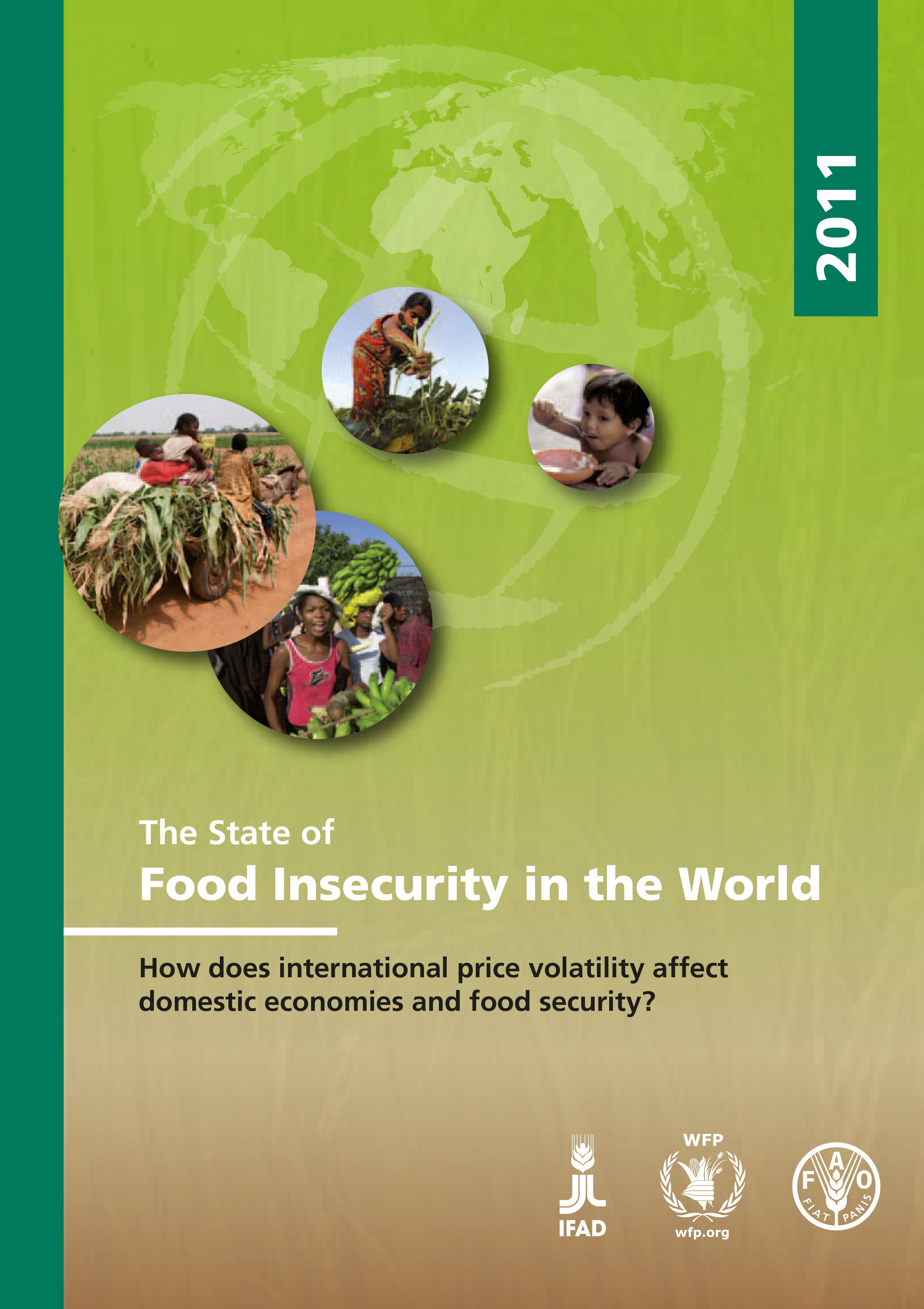 The State of Food Insecurity in the World 2011 | Agrifood Economics ...