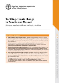 Tackling climate change in Zambia and Malawi: bringing together ...