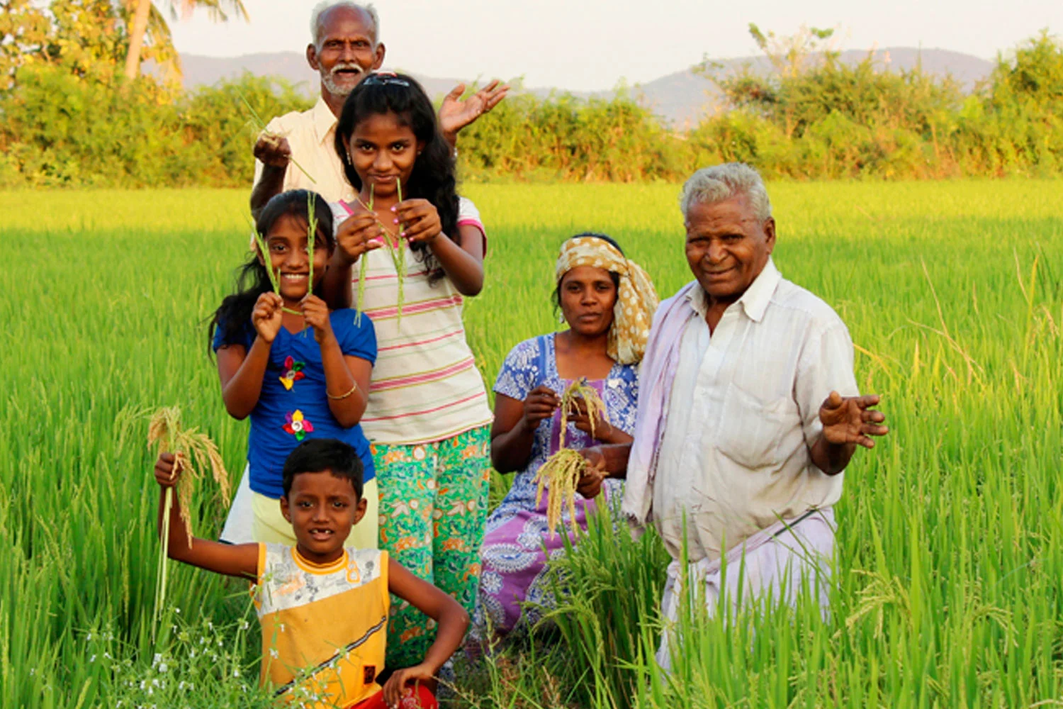 ©FAO/Mathivanan Kumaran ©FAO/Mathivanan Kumaran