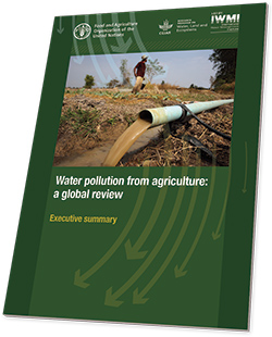 Agriculture: cause and victim of water pollution, but change is possible |  Land & Water | Food and Agriculture Organization of the United Nations |  Land & Water | Food and Agriculture