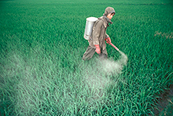 Sustainable Land Management Land Water Food And Agriculture