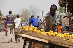 The Food Security Integrated Approach Pilot (IAP) | الأراضي