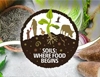 Healthy soils: the foundation of healthy food and a better environment