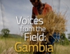 Interview series: Voices from the field: Gambia