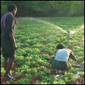 Andhra Pradesh Water Monitoring Project: India's Barefoot Water Scientists