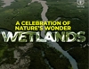 Wetlands - A celebration of nature’s wonder