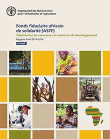 Fonds fiduciaire africain de solidarité (ASTF) - Rapport final 2014–2018 - Résumé