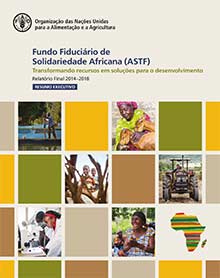 Fundo Fiduciario de Solidariedade Africana (ASTF). Relatorio Final 2014-2018 - Resumo executivo