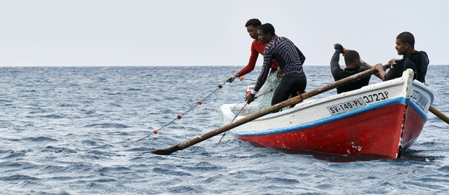Competition to find solutions to reduce overfishing in coastal ...