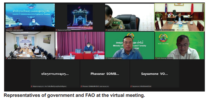 Representatives of government and FAO at the virtual meeting
