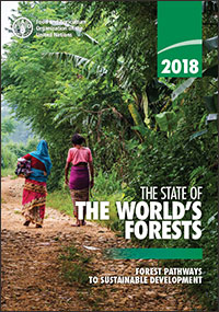 Forest Pathways Report 2023