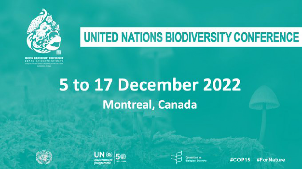 Biodiversity | Food and Agriculture Organization of the United Nations