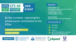 CFS Side Event: By the numbers – capturing the private sector contribution to the SDGs 