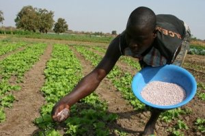 African Commission on Agricultural Statistics - 21
