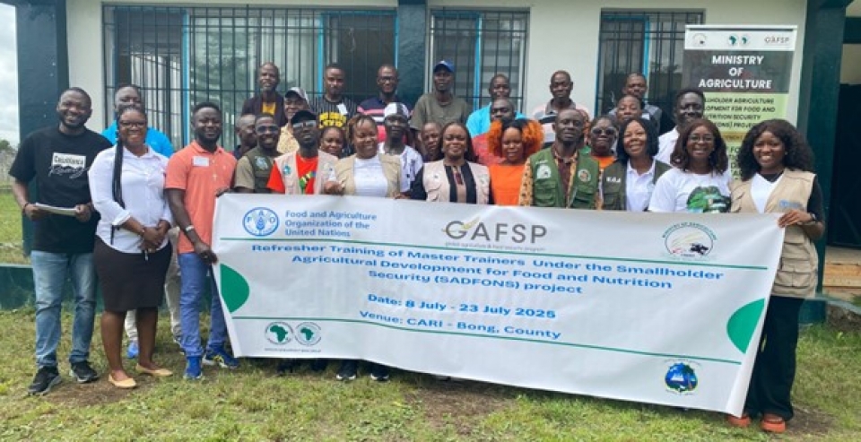 Zoom sur le Libéria : La FAO renforce les compétences des maîtres formateurs des Champs Écoles des Producteurs (CEP)