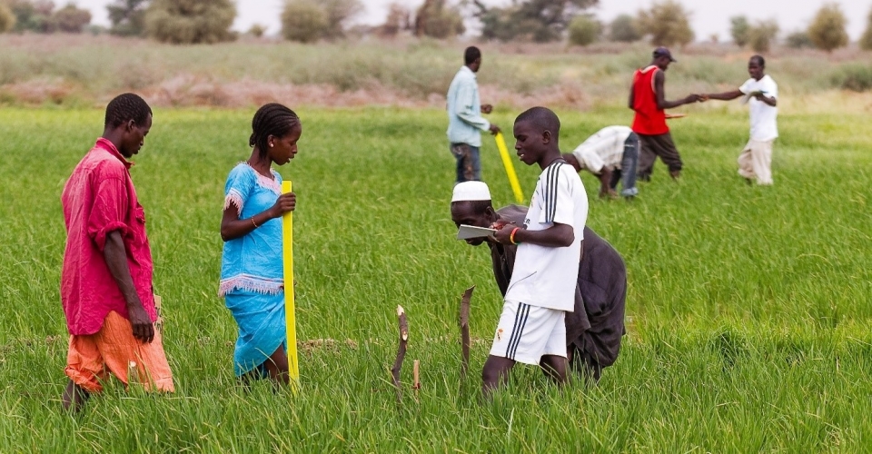 Progress results on the Global Farmer Field School Survey Progress results on the Global Farmer Field School Survey