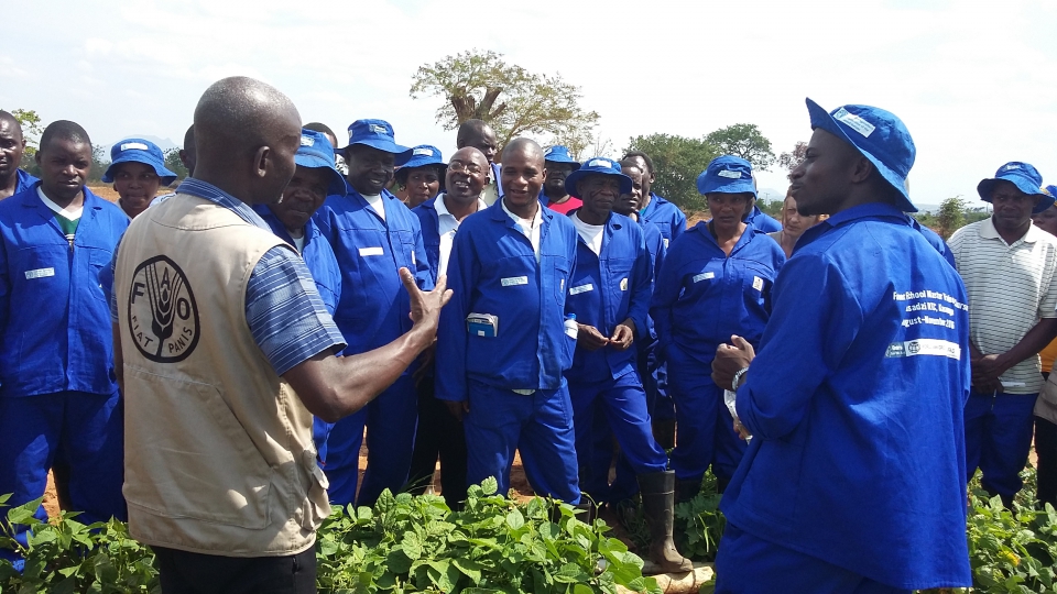 FAO in Malawi holds 3-day market symposium to link smallholder farmers to markets