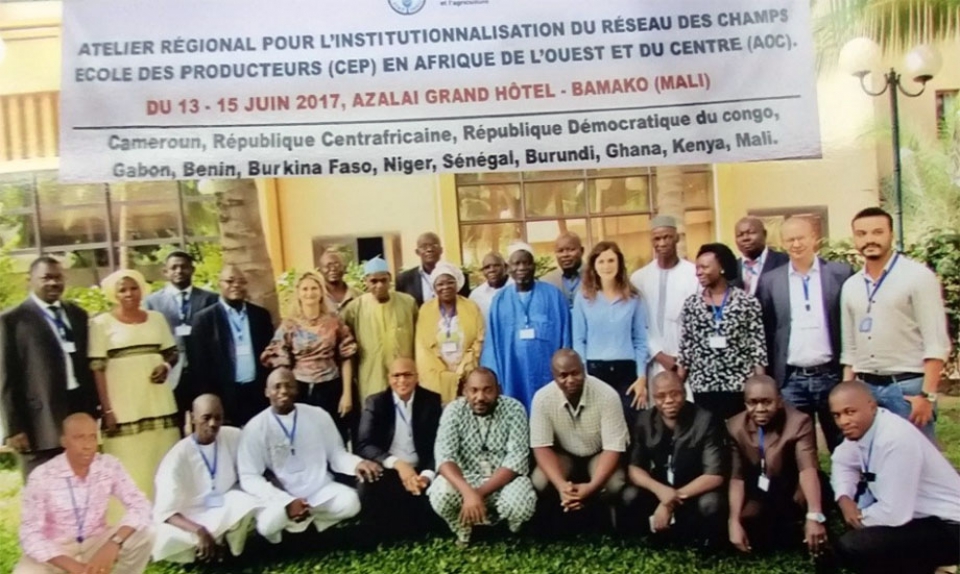 Mali : l’Atelier Régional des Champs-Écoles définit la formalisation du Réseau Régional des CEP d’Afrique de l’Ouest et Centrale. 