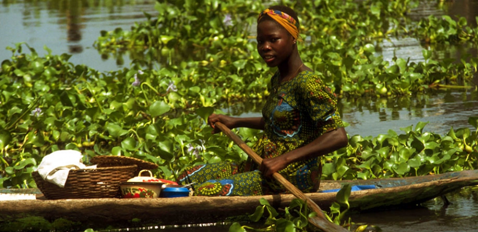 Début de la Formation des Formateurs CEP coton-maïs-soja au Benin