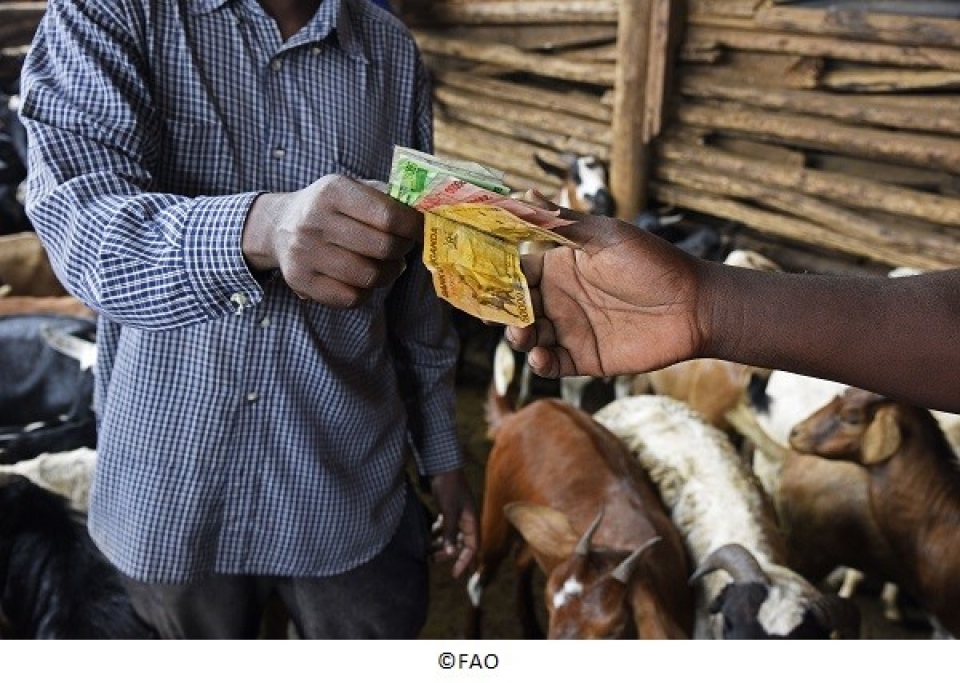 E- discussion on E- discussion on