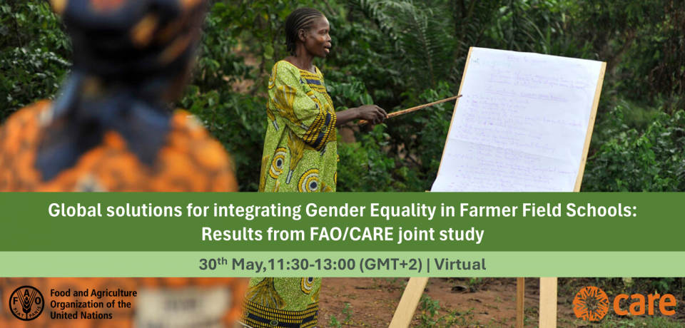 Global solutions for integrating gender equality in farmer field schools (FFS): results from FAO/CARE's joint study