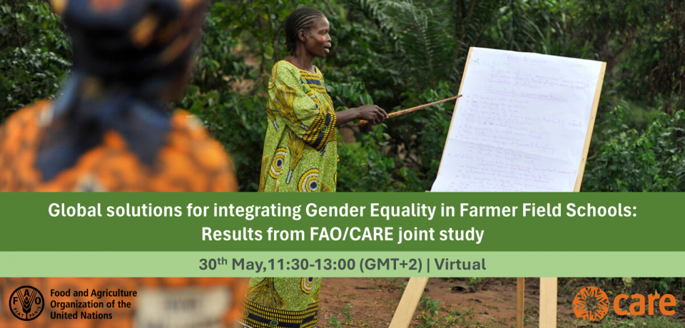 Global solutions for integrating gender equality in farmer field schools (FFS): results from FAO/CARE's joint study Global solutions for integrating gender equality in farmer field schools (FFS): results from FAO/CARE's joint study