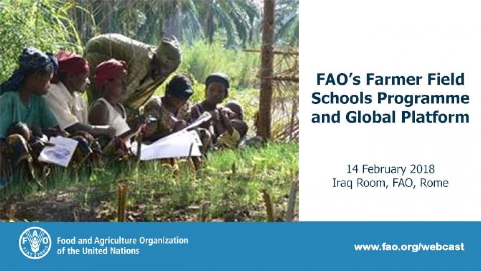 Launch of FAO’s Farmer Field School Global Platform 
