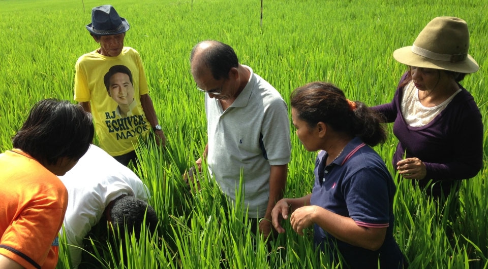 Second Refresher Training of Trainers on Soil Health in Rice-based Farming Systems in the Philippines