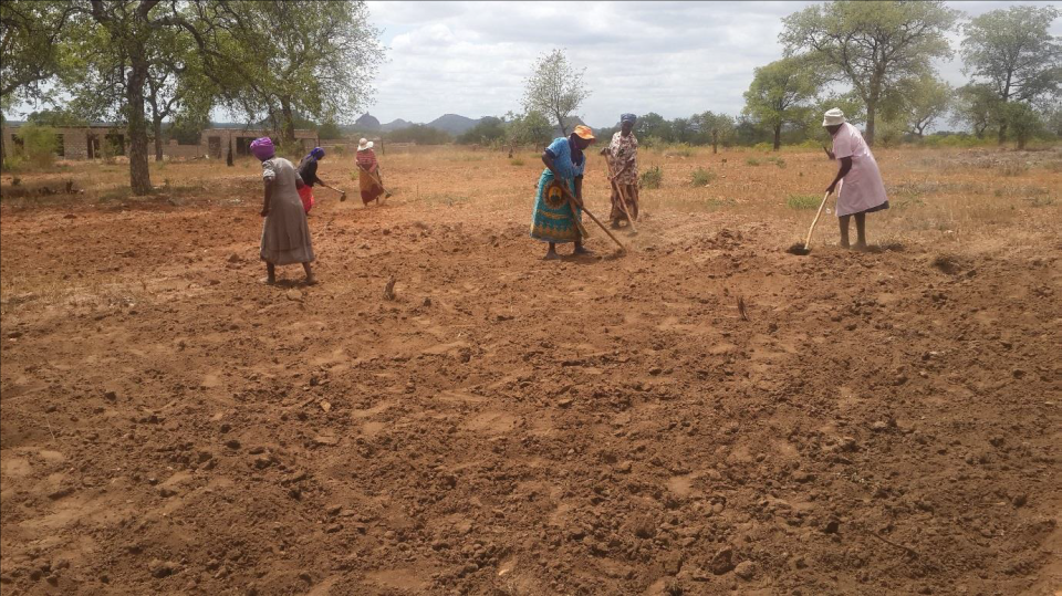 Stories from the field: the implementation of FFS in South Africa Stories from the field: the implementation of FFS in South Africa