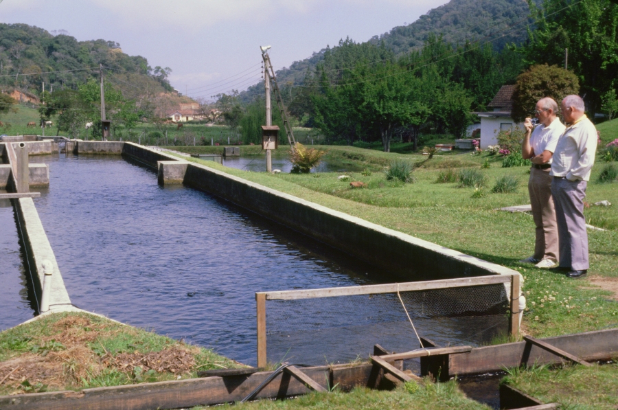 PHOTO LIBRARY: detail