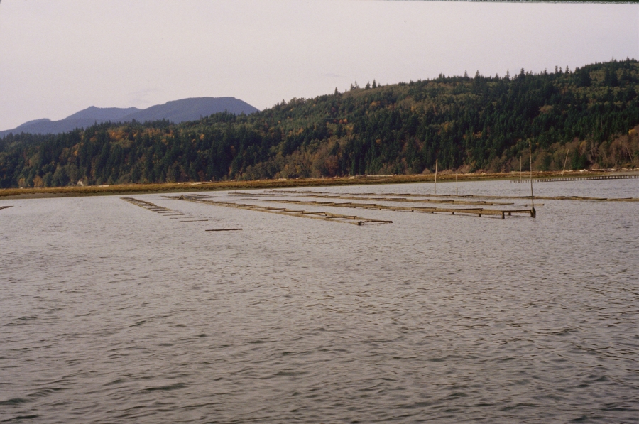 PHOTO LIBRARY: detail