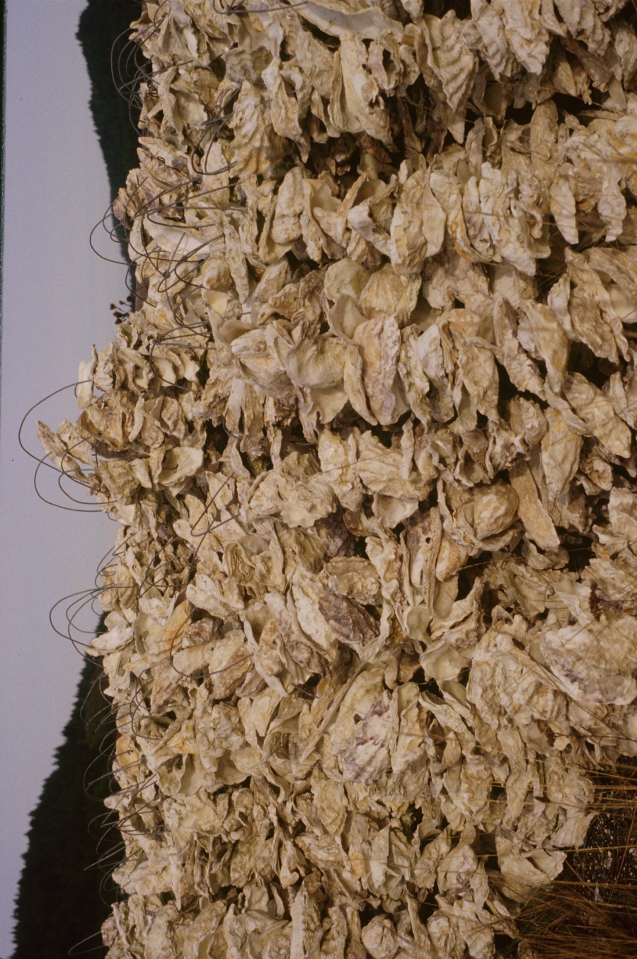 PHOTO LIBRARY: detail