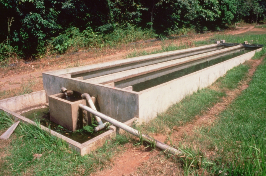 PHOTO LIBRARY detail