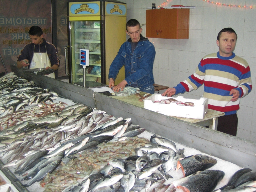 PHOTO LIBRARY detail